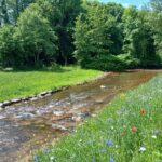 Effacement du plan d’eau des Etivaux